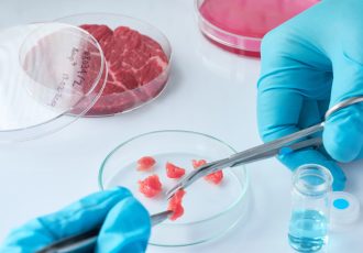 licenciatura en nutrición
